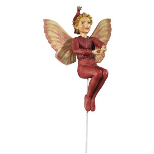 Scarlet Pimpernel Fairy